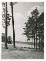  Masuren, In der Johannisburger Heide am Beldahnsee Masurische Seen