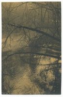 Rominter Heide, Die Rominte VII 