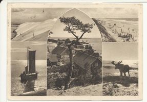 Nidden, Kreis Memel Nidden, 5 verschiedene Motive Nidden, Landschaft - Ostsee - Umgebung