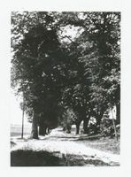 Metgethen, Gut und Ziegelei, Stadtkreis Königsberg Metgethen, Gut, Allee beim Gut 
