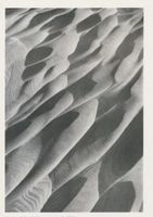  Kurische Nehrung, Dünen, Sandstrukturen, scharf geschliffene Hohlformen in einer Sandfläche Куршская коса, дюны, песчаные структуры, резко отточенные вогнутые формы на песчаной поверхности