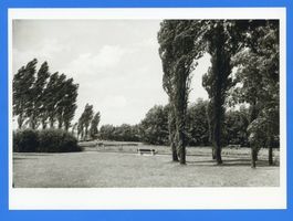 Lötzen, Stadt, Kreis Lötzen Lötzen, Park am Löwentinsee III 