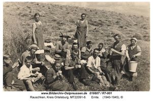 Rauschken Kr. Ortelsburg, Kreis Ortelsburg 