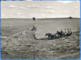  Ostpreußen, Erntezeit - Weites Land Восточная Пруссия, время жатвы — простор края