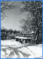 Fürstenteich, Stadtkreis Königsberg Fürstenteich, Bank im Schnee am Fürstenteich 