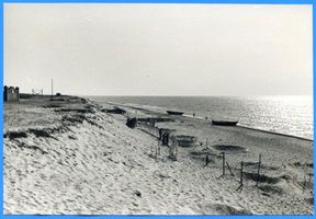 Nidden, Kreis Memel Nidden, Am Haff-Ufer III Nidden, Landschaft - Ostsee - Umgebung