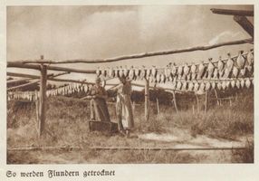 Cranz Kr. Samland, Ort, Kreis Samland Cranz, Trocknen der Flundern II Кранц, сушка камбал, II