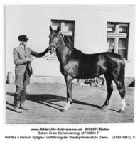 Balten, Kreis Elchniederung 