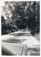 Kleinfriedeck, Kreis Angerapp Kleinfriedeck, Pflasterstaße von Kowarren nach Gr. Pentlack 