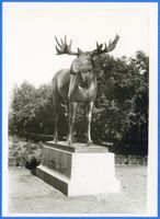 Gumbinnen, Stadt, Kreis Gumbinnen Magazinplatz Gumbinnen, Elchstandbild VII Gumbinnen, Elchdenkmal
