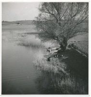  Taytasee, Alte Weide am See Masurische Seen