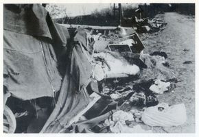 Nemmersdorf, Kreis Gumbinnen Nemmersdorf, Trümmer von Treckwagen Ostpreußen, Zweiter Weltkrieg und das Ende
