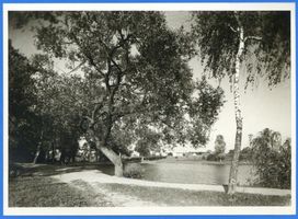 Insterburg, Stadt, Stadtkreis Insterburg Insterburg, Strauchmühlenteich II Инстербург, пруд Штраухмюле, II