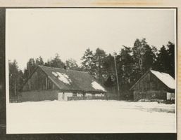 Bennigkeiten, Kreis Tilsit-Ragnit Bennigkeiten, Hof im Wald in der Nähe des Ortes II Беннигикен, двор в лесу вблизи местечка, II