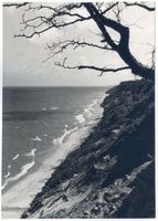  Samlandküste, Strand zwischen Groß-Kuhren und Warnicken Samländische Steilküste