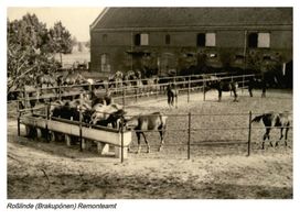 Roßlinde, Kreis Gumbinnen 