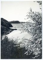  Samlandküste, Frühling am Zipfelberg Samländische Steilküste