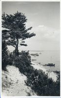 Nidden, Kreis Memel Nidden-Purwin, Haffufer II Nidden, Landschaft - Ostsee - Umgebung
