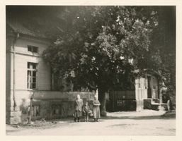 Paulinenhof Kr. Sensburg, Kreis Sensburg Paulinenhof Kr. Sensburg, Wohnhaus 