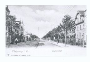 Königsberg (Pr.), Stadtkreis Königsberg Luisenallee Königsberg (Pr.), Luisenallee, Hufen Königsberg, Stadtteil Hufen