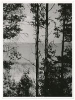  Löwentinsee, Blick Richtung Lötzen II Masurische Seen