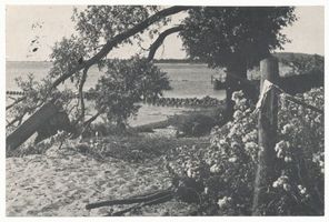 Perwelk, Kreis Memel Perwelk, Auf der Kurischen Nehrung am Strand 