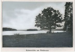  Niedersee (See), Kaisereiche am Niedersee Нидерзее (озеро), кайзеровский дуб у Нидерзее
