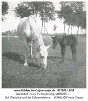 Gilkendorf, Kreis Elchniederung 