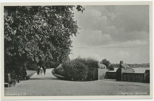 Königsberg (Pr.), Stadtkreis Königsberg 