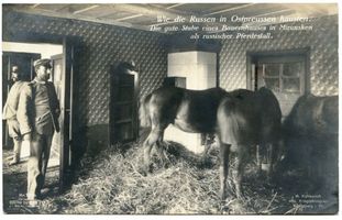 Merunen, Ort, Kreis Treuburg Mierunsken (Ort), Gute Stube eines Bauernhauses als russischer Pferdestall Мирунскен (местечко), чистая горница крестьянского дома, превращённая в русскую конюшню