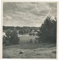 Hohenstein Kr. Osterode, Stadt, Kreis Osterode Hohenstein i. Ostpr., Das Schlachtfeld von Tannenberg 