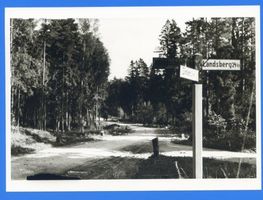 Zinten, Kreis Heiligenbeil Zinten, Wegweiser im Stadtwald Цинтен, указатель в городском лесу