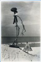  Samland, Ostseestrand,  Der letzte Badegast  