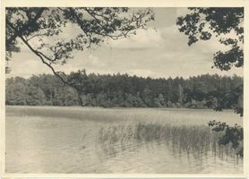  Johannisburger Heide, Prosolaseksee Йоханнисбургская пуща, Просоласекзее