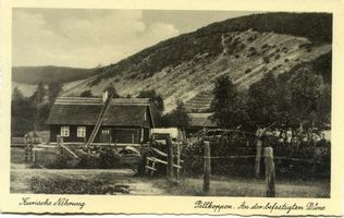 Pillkoppen, Kreis Samland Pillkoppen, An der befestigten Düne II Kurische Nehrung, Dünen