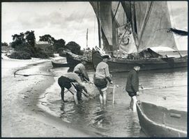Nidden, Kreis Memel Nidden, Fischer beim Netze Einziehen II Nidden, Landschaft - Ostsee - Umgebung