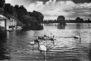 Königsberg (Pr.), Stadtkreis Königsberg 