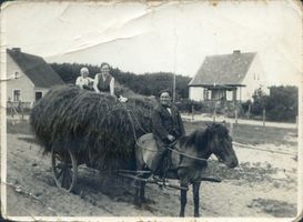 Neutief, Kreis Samland Neutief, Heuernte auf der Frischen Nehrung Frische Nehrung - Frisches Haff
