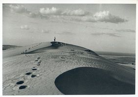  Kurische Nehrung, Spuren im Dünensand, bei Nidden Nidden, Landschaft - Ostsee - Umgebung