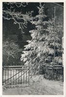 , Cranz Kr. Samland, Damenbadquerstraße im Winterkleid 