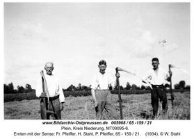 Plein, Kreis Elchniederung 