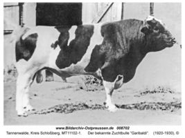 Tannenwalde Kr. Schloßberg, Kreis Schloßberg 