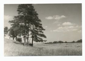 Bartendorf, Kreis Lyck Bartendorf, Landschaft südlich von Bartendorf in der Nähe des ehem. Heldenfriedhofes 