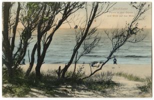 Neuhäuser, Kreis Samland Neuhäuser, Partie in den Dünen und Blick auf das Meer 