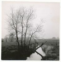  Sellmentsee, Landschaft Masurische Seen