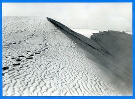 Nidden, Kreis Memel Nidden, Am Steilhang der Düne Kurische Nehrung, Dünen