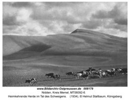 Nidden, Kreis Memel 