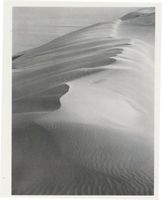  Kurische Nehrung, Dünen, Sandstrukturen, Der Dünenkamm Kurische Nehrung, Dünen, Sandstrukturen