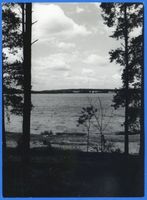  Kruttinner See, Kr. Sensburg, Durchblick zum See озеро Круттиннен, уезд Зенсбург, вид на озеро