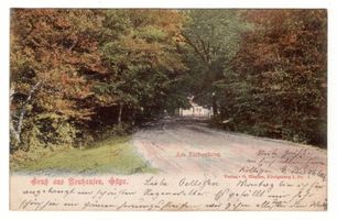 Neuhausen Kr. Samland, Kreis Samland 